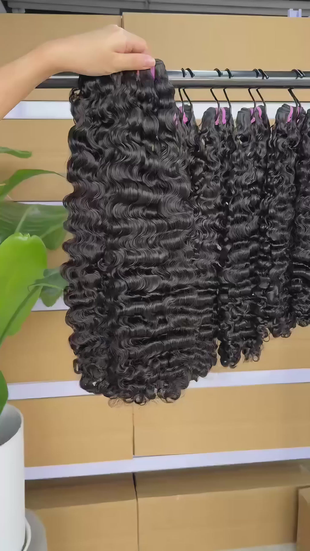 Raw Burmese