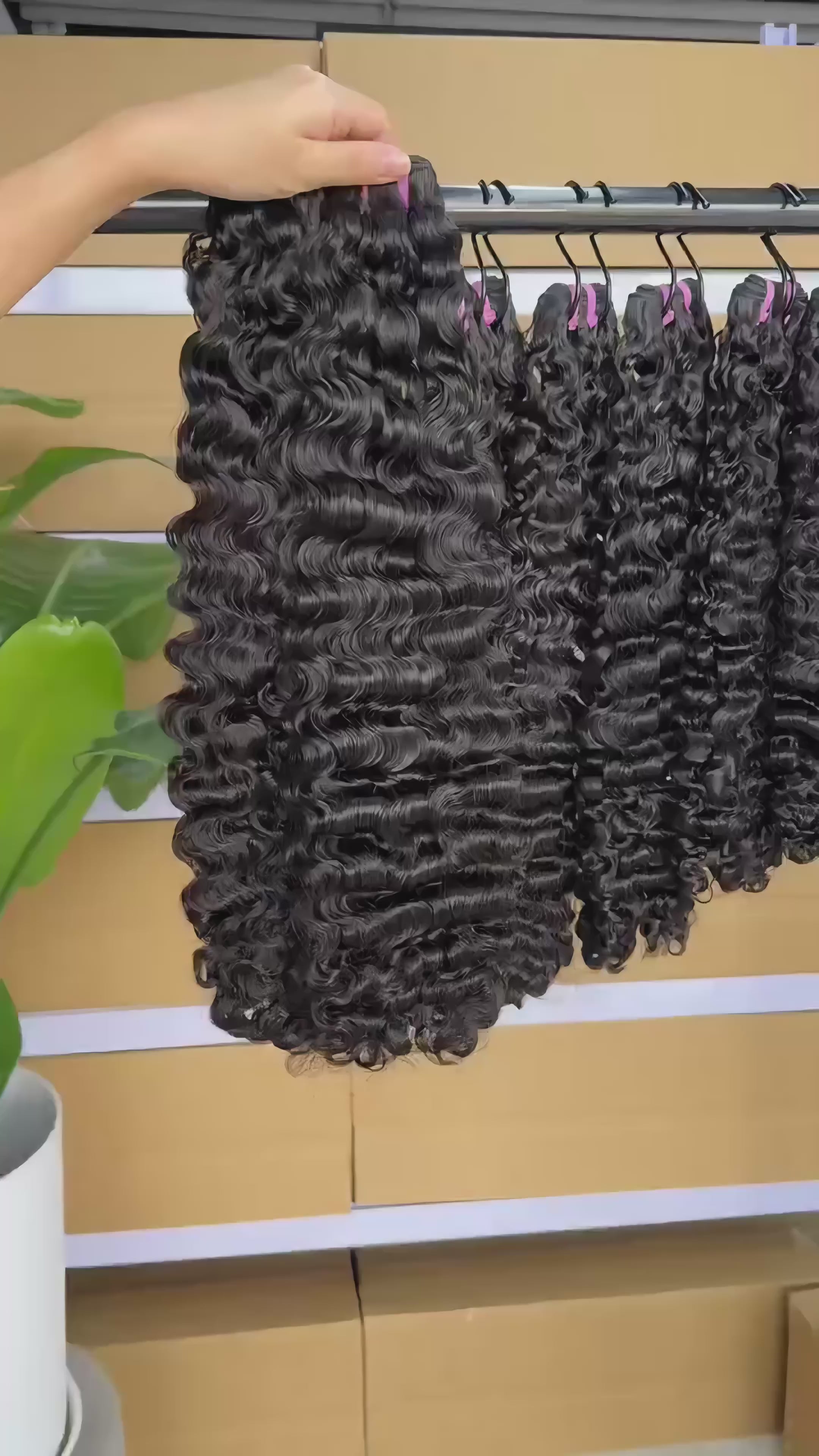 Raw Burmese